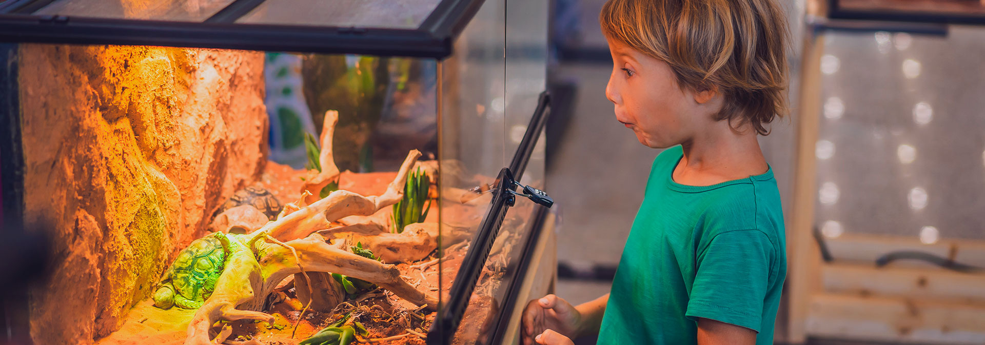 Aquarium Supplies, Aquarium Shop Omaha, Council Bluffs, Irvington, NE